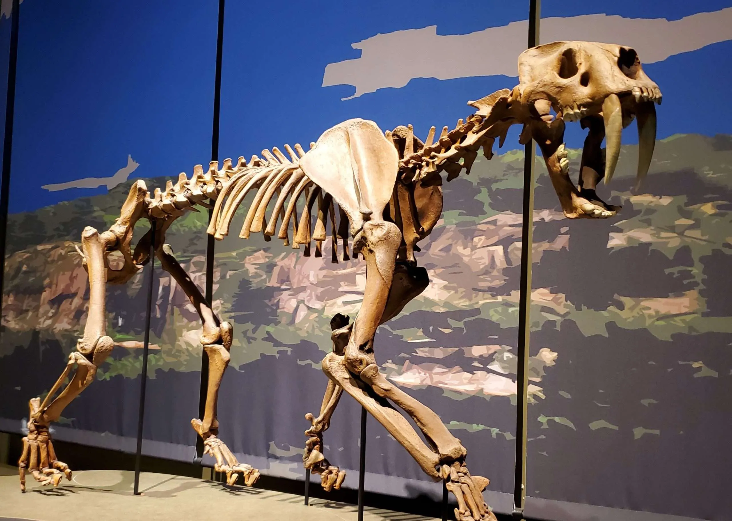 10 Felinos Gigantes Extintos y sus Misterios Ocultos