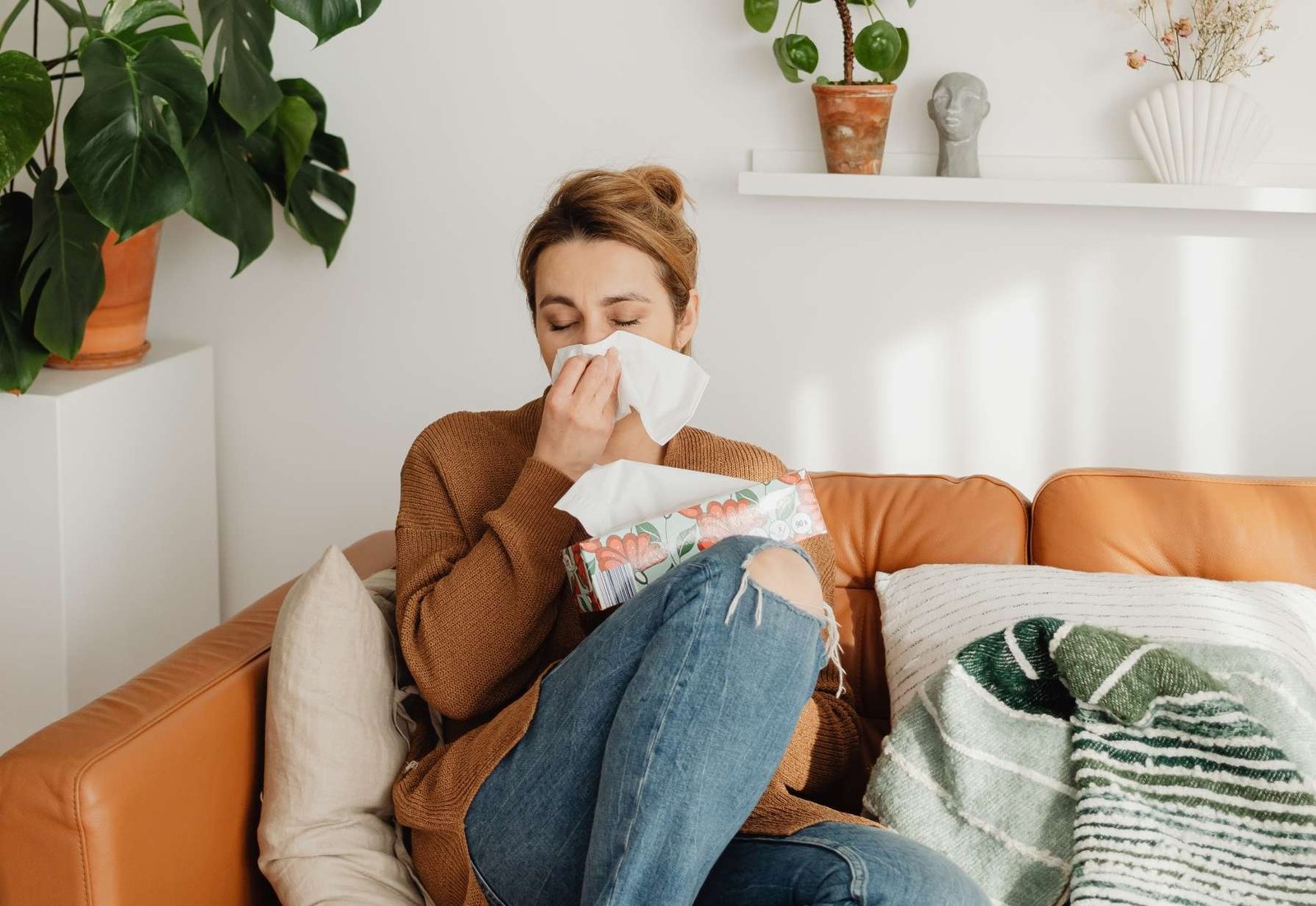 10 Consejos caseros para la Alergia a los Gatos