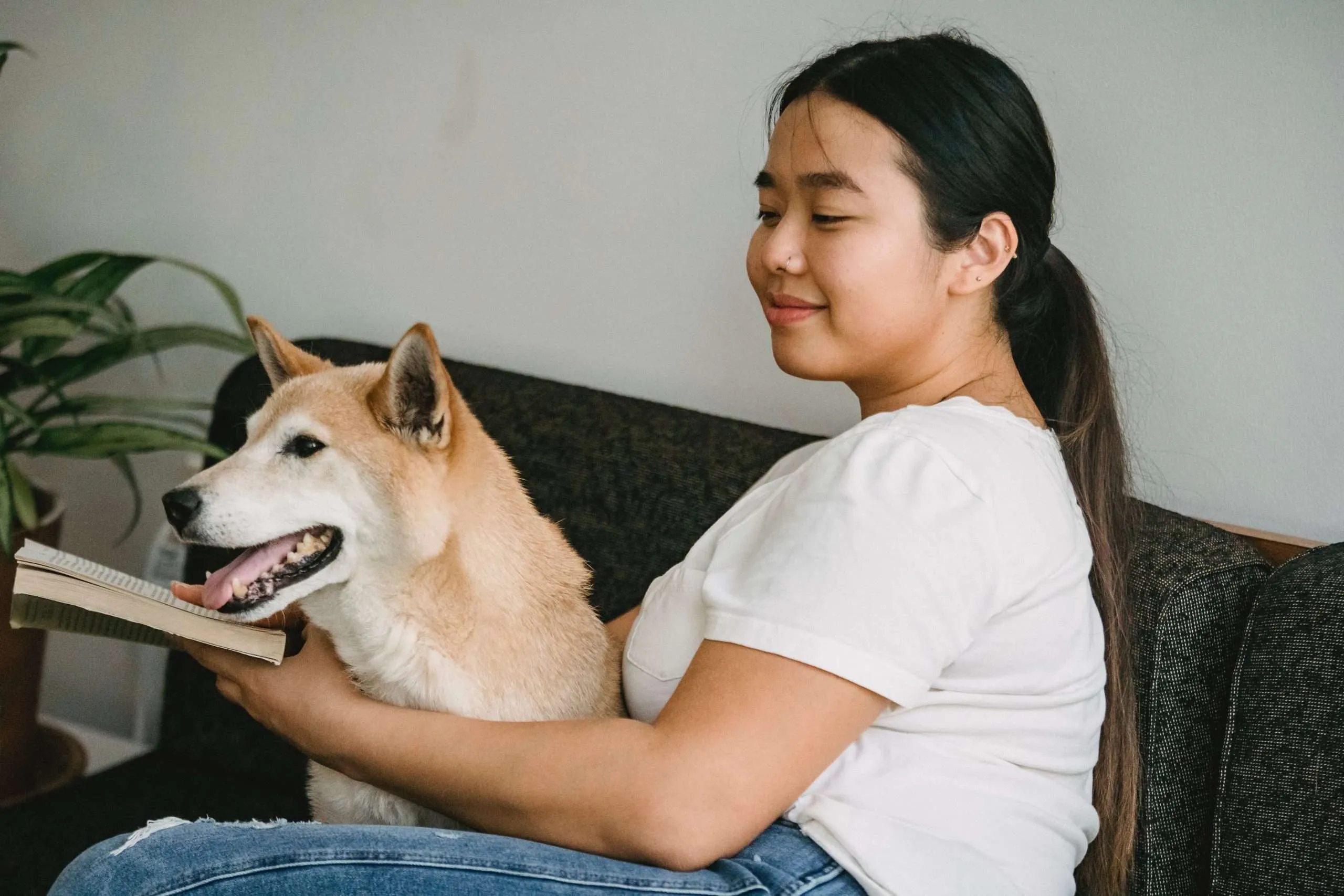 Guía Completa: Consejos para Cuidar y Educar a tu Perro con Amor