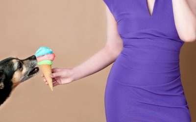 Helado Casero para Perros, ¡Refresca a tu Mejor Amigo!